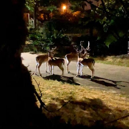 Dans Un Cadre Exceptionnel, Ferme Renovee A 17Km De Paris Villa Boissy-Saint-Léger Exteriör bild