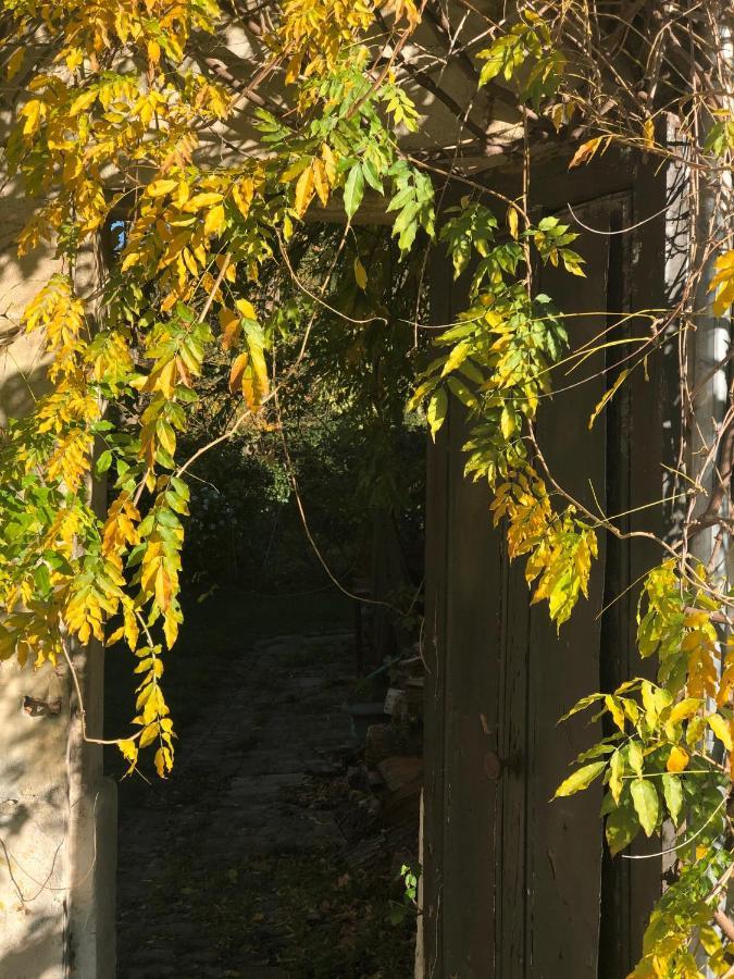 Dans Un Cadre Exceptionnel, Ferme Renovee A 17Km De Paris Villa Boissy-Saint-Léger Exteriör bild