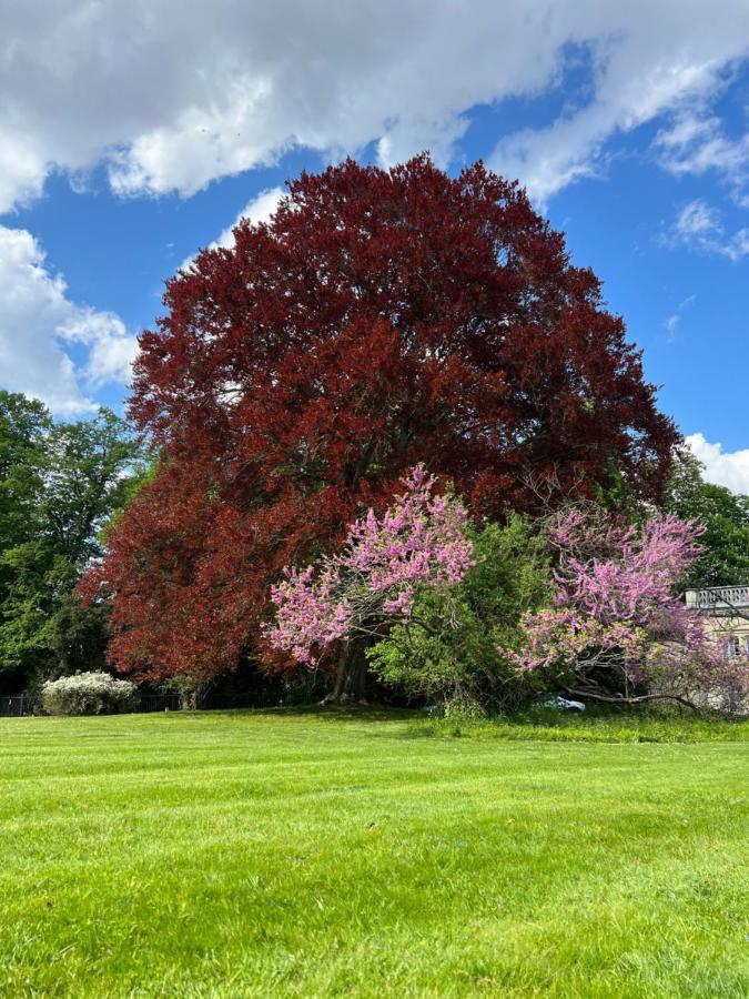 Dans Un Cadre Exceptionnel, Ferme Renovee A 17Km De Paris Villa Boissy-Saint-Léger Exteriör bild